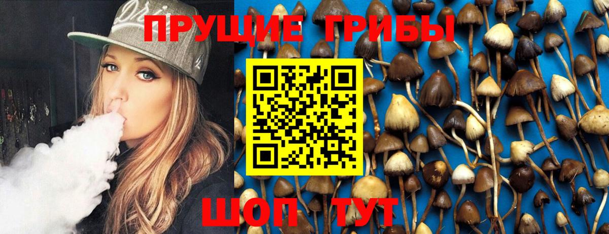 Псилоцибиновые грибы Cubensis Первоуральск